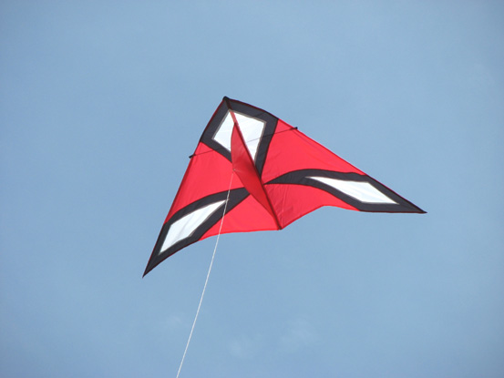 39- Delta - Michel Wirth